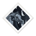 Arabian Horse