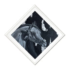 Arabian Horse